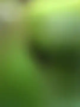 Lynly k2 online show from February 13, 2026, 5:29 am