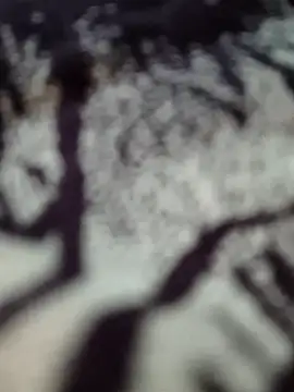 Snapshot of butterflydoll55sexolina chatting on November 17, 2025, 12:36 am butterflydoll55sexolina online show from November 17, 2025, 12:36 am