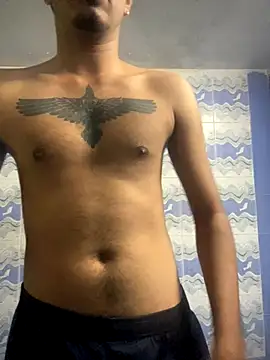 Nonstop brutal online show from November 12, 2025, 7:12 am