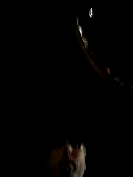 throbbbyxh online show from December 22, 2025, 2:22 am