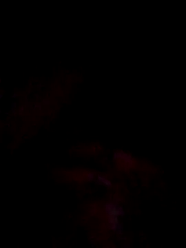 jacka 305 online show from December 1, 2025, 8:32 pm