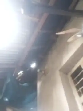 jacka 305 online show from January 17, 2026, 3:10 am