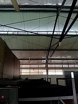 Snapshot of MonasticCanine chatting on November 26, 2025, 11:32 am MonasticCanine online show from November 26, 2025, 11:32 am