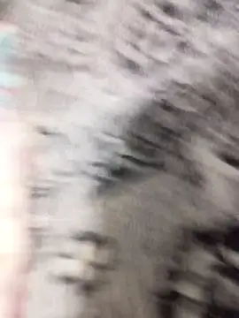 Tayanehot online show from April 22, 2026, 9:38 am