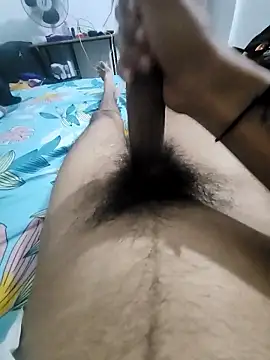 Noxvorlen online show from November 14, 2025, 8:01 pm