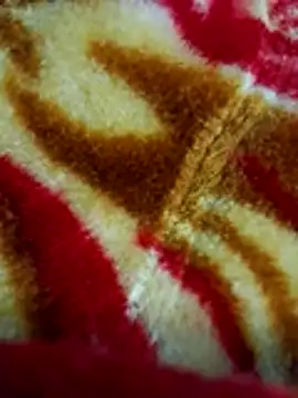 sangeeta lodhi online show from November 28, 2025, 6:08 pm