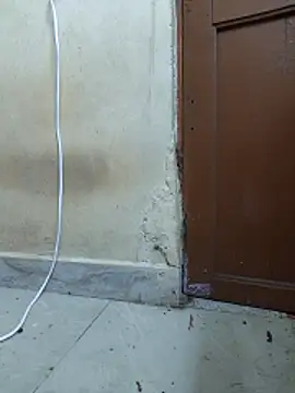 Varshatamil online show from November 28, 2025, 6:52 pm