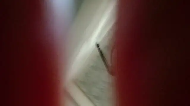 Snapshot of Natali-Gucci chatting on November 12, 2025, 10:02 pm Natali-Gucci online show from November 12, 2025, 10:02 pm