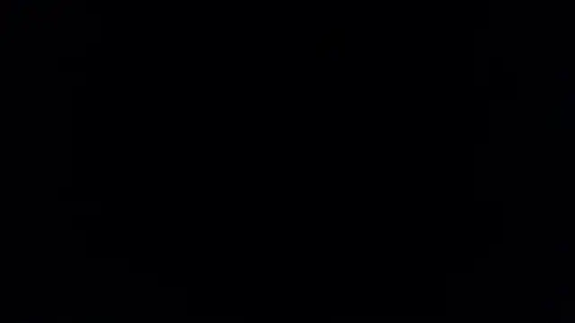 Brandy collinss online show from February 8, 2026, 11:41 am