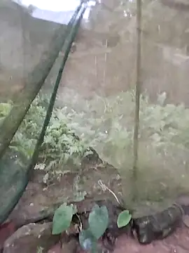 Snapshot of gugu0022 chatting on February 25, 2026, 11:26 pm gugu0022 online show from February 25, 2026, 11:26 pm