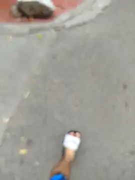 Snapshot of Carl-Milton chatting on November 23, 2025, 8:19 pm Carl-Milton online show from November 23, 2025, 8:19 pm