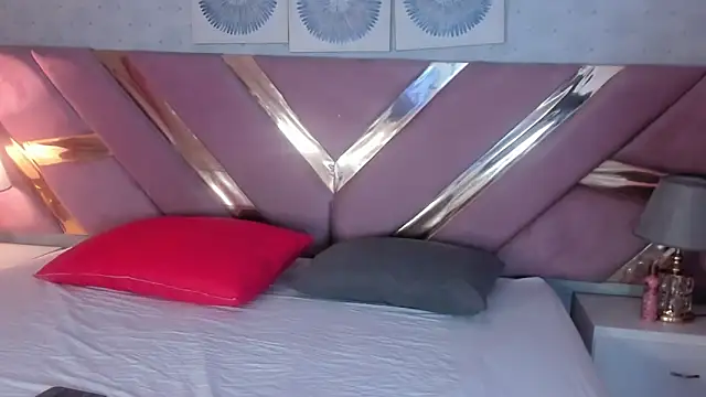 Snapshot of VeraSteel chatting on November 25, 2025, 4:02 am VeraSteel online show from November 25, 2025, 4:02 am