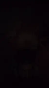 Snapshot of Ritik143jhil chatting on May 5, 2026, 7:28 pm Ritik143jhil online show from May 5, 2026, 7:28 pm