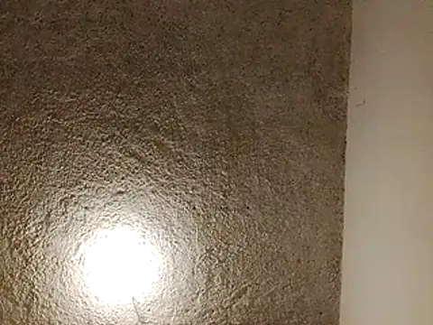 LogaBlade online show from April 15, 2026, 5:13 am