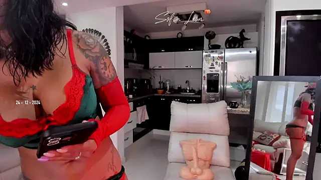 Snapshot of sofiasexhot chatting on December 24, 2024, 6:50 pm sofiasexhot online show from December 24, 2024, 6:50 pm