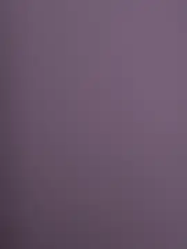 Divyeash online show from November 17, 2025, 8:29 am