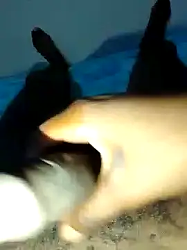 dicksosmall online show from November 21, 2025, 7:13 pm