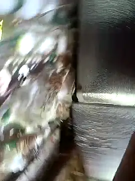 asian aya online show from November 29, 2025, 12:11 am