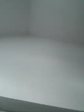 -bfc1882- online show from February 24, 2026, 8:26 am