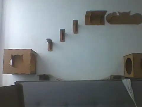 Temp7 online show from February 21, 2026, 1:13 pm