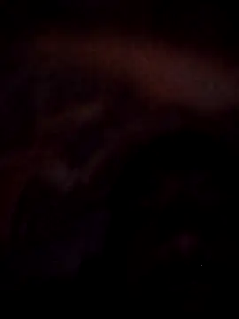 Roy   121 online show from November 23, 2025, 9:03 pm