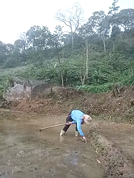 nangmo online show from March 20, 2026, 11:50 pm