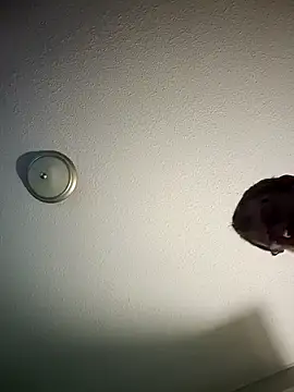 mr girthyandsweetcheeks online show from February 13, 2026, 6:35 am