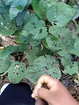 desi alpha boy online show from January 17, 2026, 2:04 am