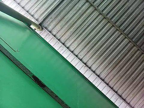 Lin-kute98 online show from April 7, 2026, 12:56 am