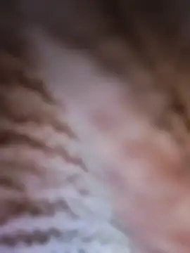 Snapshot of Punam_panjabi chatting on February 28, 2026, 7:52 am Punam panjabi online show from February 28, 2026, 7:52 am