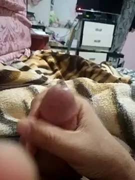 doulo123456 online show from November 29, 2025, 1:11 pm