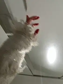 Snapshot of Seven-017 chatting on December 21, 2025, 6:59 am Seven-017 online show from December 21, 2025, 6:59 am