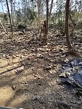 88zaifkhan88 online show from January 10, 2026, 4:41 am