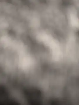 Alpaperve online show from December 4, 2025, 10:20 pm