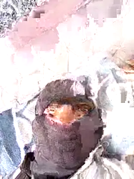 Gajuthala online show from November 27, 2025, 7:31 am