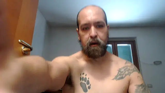 AMIRDIB2025 online show from July 21, 2026, 3:24 pm