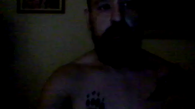 AMIRDIB2025 online show from July 12, 2026, 2:56 am