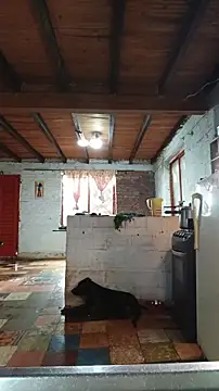 ChanneldelaCroix online show from March 12, 2026, 1:37 pm