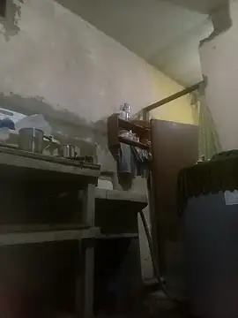 bebicho11 online show from December 3, 2025, 4:46 am