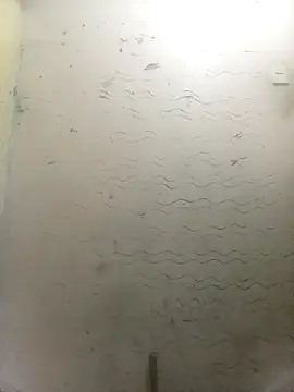 bebicho11 online show from December 2, 2025, 5:53 am