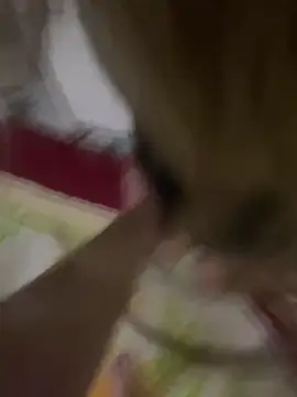 Snapshot of 3turkish6model9 chatting on February 18, 2026, 1:25 am 3turkish6model9 online show from February 18, 2026, 1:25 am