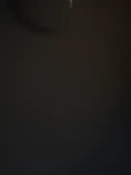 DutchMiracle26 online show from April 28, 2026, 11:09 pm