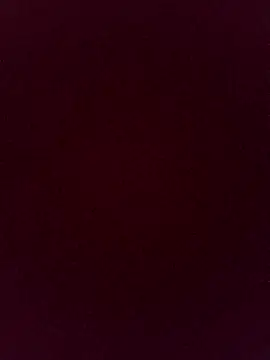 gatitachula93 online show from April 13, 2026, 12:20 pm