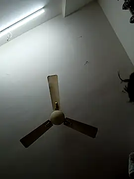 shilpa-singh online show from December 20, 2025, 5:16 pm