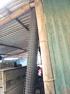 sary-hot2x online show from March 1, 2026, 3:50 am