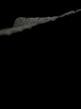 634Josh online show from December 3, 2025, 8:36 am