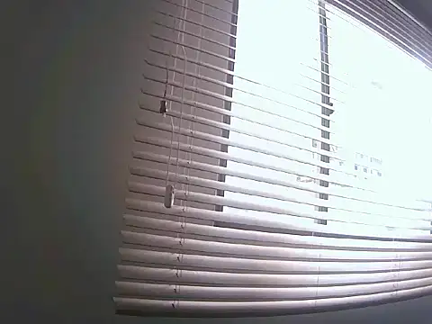 Fernanda andrew online show from March 25, 2026, 3:44 pm