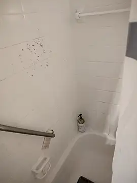 SpiderRose online show from February 21, 2026, 2:08 pm