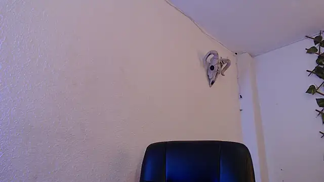 Snapshot of kingdani_hot chatting on December 20, 2025, 3:20 am kingdani hot online show from December 20, 2025, 3:20 am