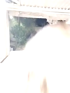 SexyAssQueenX online show from January 14, 2026, 2:15 am